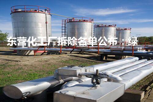 东营化工厂拆除名单公布：绿色转型引领以后新篇章