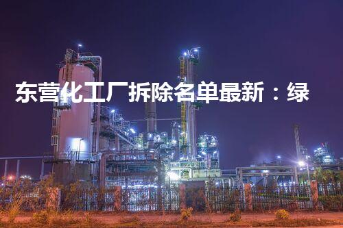 东营化工厂拆除名单最新：绿色转型引领安全环保新风尚
