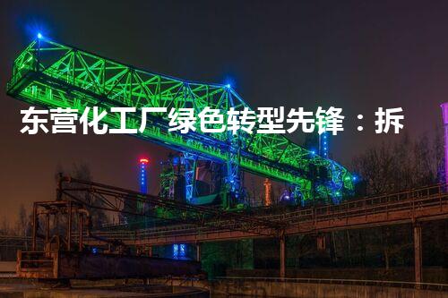 东营化工厂绿色转型先锋：拆除名单公示引领环保新时代