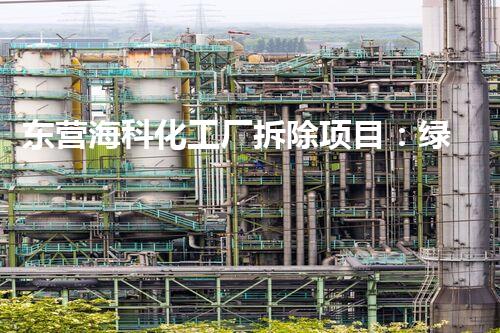 东营海科化工厂拆除项目：绿色转型典范，安全高效拆除引领以后