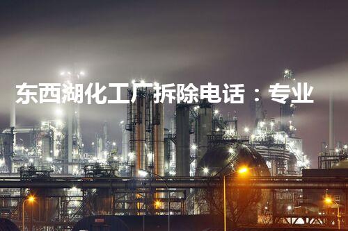 东西湖化工厂拆除电话：专业高效，安全无忧，巴洛仕集团一站式服务典范