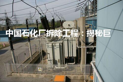 中国石化厂拆除工程：揭秘巨型迷局，谁将承担这场挑战？