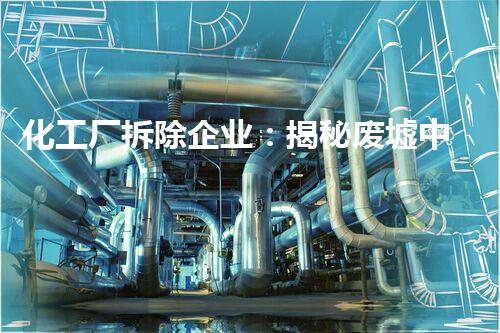 化工厂拆除企业：揭秘废墟中的奇迹！