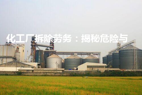 化工厂拆除劳务：揭秘危险与挑战，谁来承担责任？