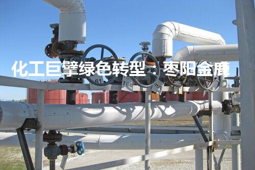 化工巨擘绿色转型：枣阳金鹿化工厂拆除仪式演讲稿