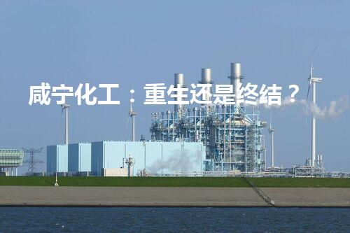 咸宁化工：重生还是终结？