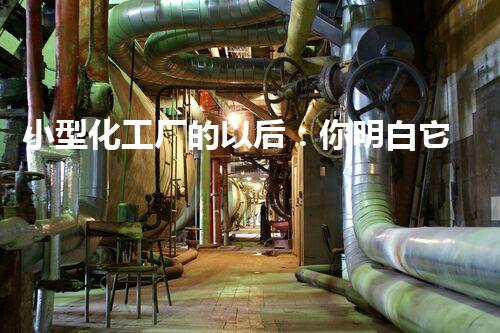 小型化工厂的以后：你明白它们如何改变我们的生活吗？