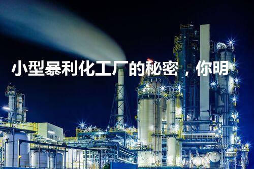 小型暴利化工厂的秘密，你明白吗？