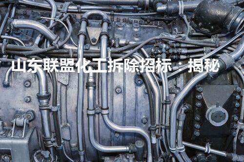 山东联盟化工拆除招标：揭秘废弃工厂的惊人秘密！