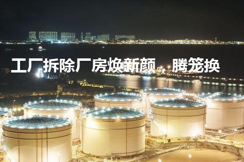 工厂拆除厂房焕新颜，腾笼换鸟促进展