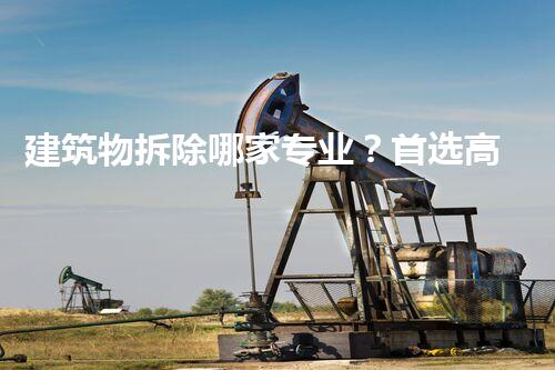 建筑物拆除哪家专业？首选高效安全团队！