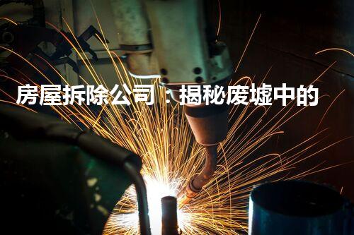 房屋拆除公司：揭秘废墟中的秘密！