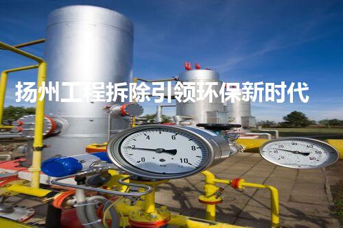 扬州工程拆除引领环保新时代，打造绿色都市典范