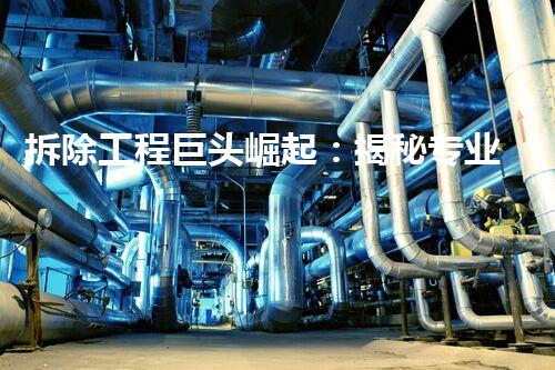 拆除工程巨头崛起：揭秘专业拆除公司的神秘世界！