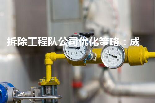拆除工程队公司优化策略：成功吸引流量的秘密是什么？