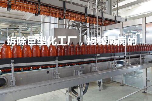 拆除巨型化工厂，揭秘凤岗的禁忌之谜！