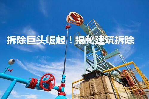 拆除巨头崛起！揭秘建筑拆除工程公司的惊人内幕！