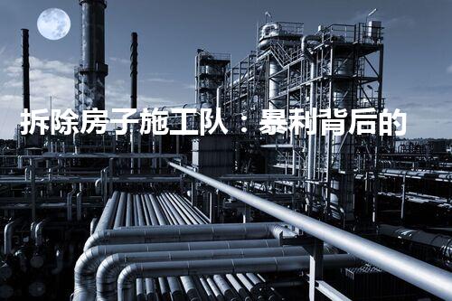 拆除房子施工队：暴利背后的秘密！
