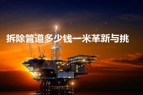 拆除管道多少钱一米革新与挑战：未来化工领域的技术变革