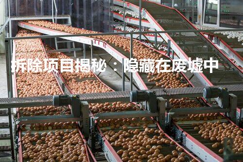 拆除项目揭秘：隐藏在废墟中的惊人秘密！