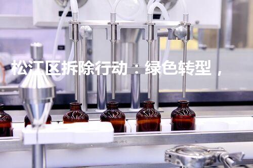 松江区拆除行动：绿色转型，打造宜居环境新篇章