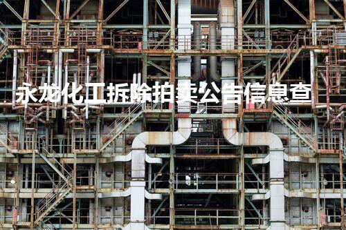 永龙化工拆除拍卖公告信息查询官网的整体刨析与实施指南