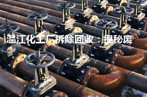 温江化工厂拆除回收：揭秘废弃之谜，何物潜伏其中？