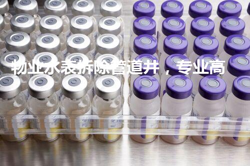物业水表拆除管道井，专业高效，安全无忧