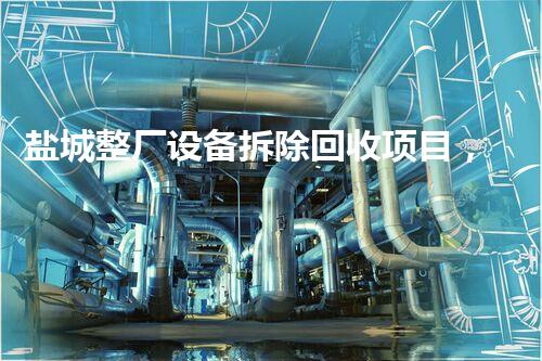 盐城整厂设备拆除回收项目，环保先锋，高效回收新典范