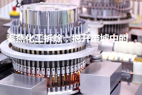 秦燕化工拆除：揭开废墟中的惊人秘密！