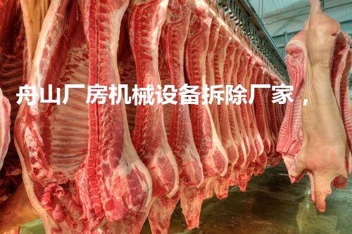 舟山厂房机械设备拆除厂家，专业高效，质量杰出