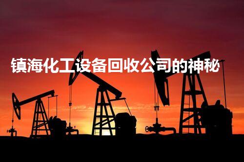 镇海化工设备回收公司的神秘幕后故事，你知道吗？