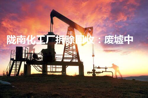 陇南化工厂拆除回收：废墟中的宝藏，隐藏着怎样的秘密？