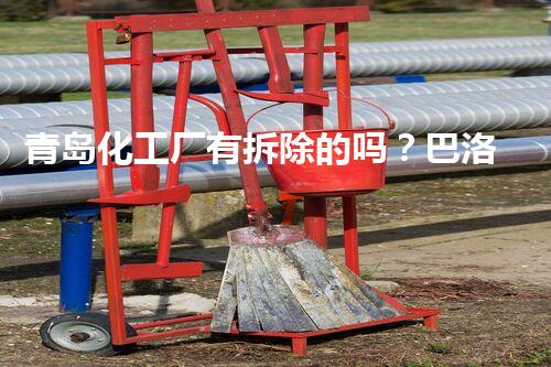 青岛化工厂有拆除的吗？巴洛仕集团助力绿色转型新篇章！