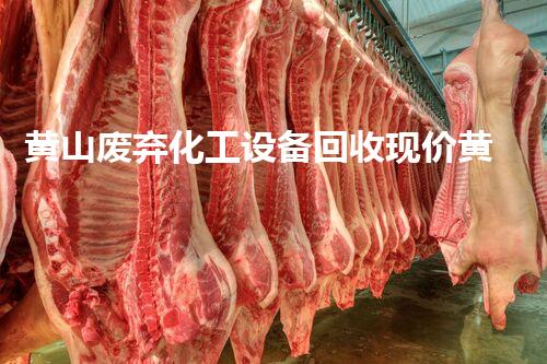 黄山废弃化工设备回收现价黄山废弃化工设备回收价格揭秘当前市场行情和潜在机会